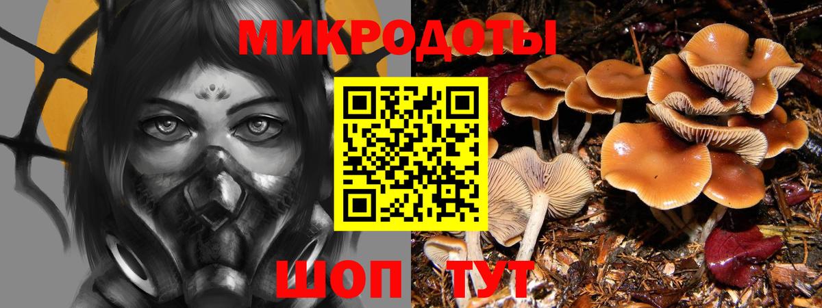 Псилоцибиновые грибы Magic Shrooms  Вход с VPN  Камышлов  купить   Псилоцибиновые грибы MAGIC MUSHROOMS 